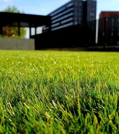 lawn_garden_care