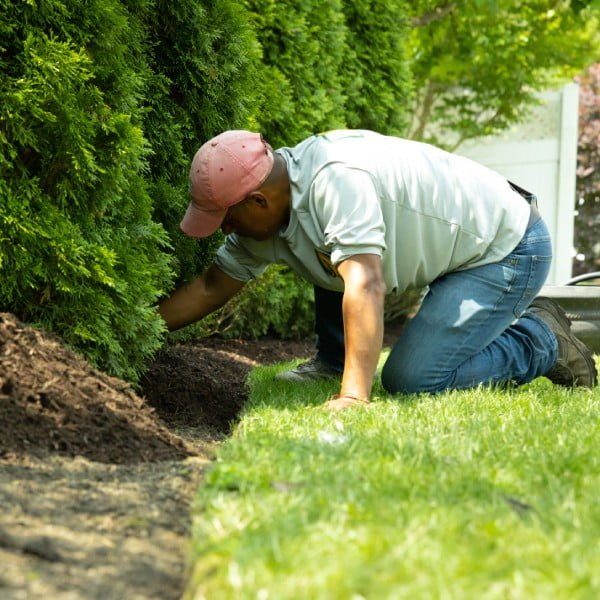 man_working_on_landscaping