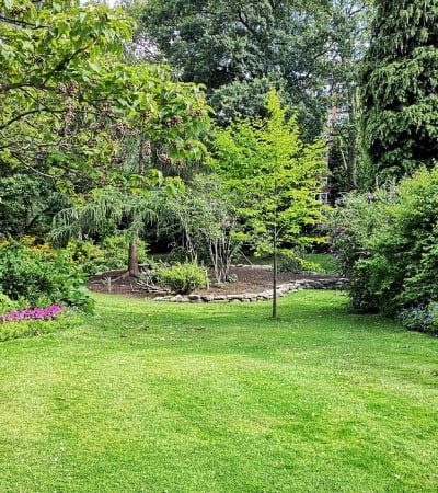 planting_design