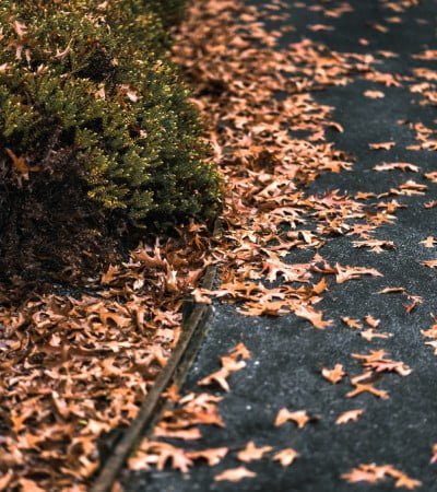seasonal_cleanup