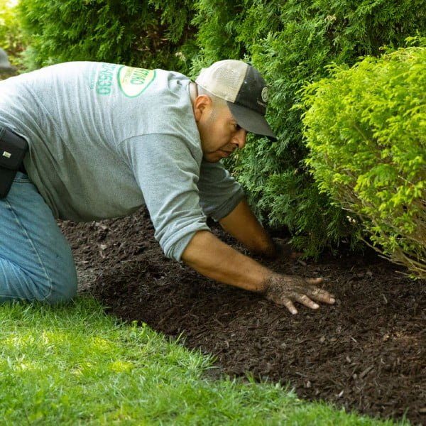 smoothing_mulch smoothing_mulch
