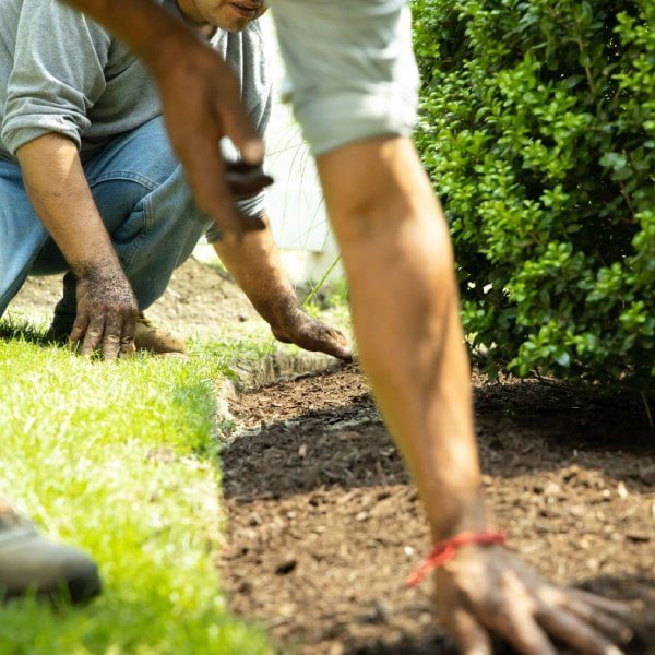 team_working_mulch team_working_mulch